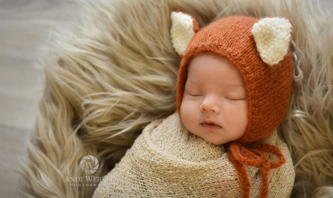 Andi-Werner-Foto-Little-Baby-fox
